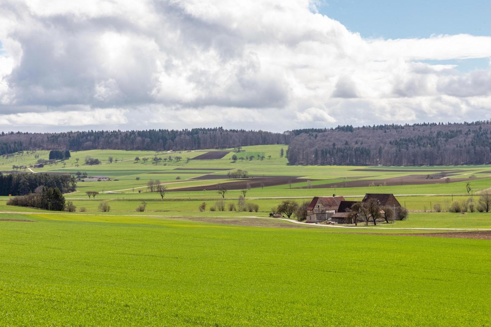 Frankenhofen Ferienhaus Em Biehl מראה חיצוני תמונה